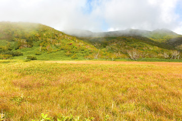 知床　羅臼湖周辺の風景