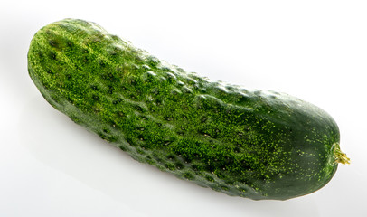 One green cucumber on a white background