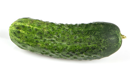 One green cucumber on a white background