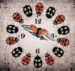 Clock Beetles. Circular design with ladybugs. Ladybird beetles circle round the dial. Wall clock or watch with nature image design dial. Old paper textured 