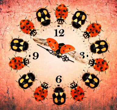 Clock Beetles. Circular design with ladybugs. Ladybird beetles circle round the dial. Wall clock or watch with nature image design dial. Old paper textured 