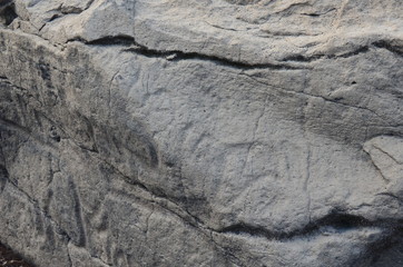 Petroglyphs of Sikachi-Alyan. Russia. Khabarovsk region