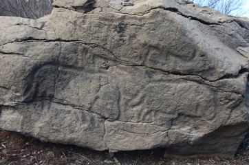 Petroglyphs of Sikachi-Alyan. Russia. Khabarovsk region