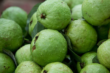 guava is a fruit with high nutritional value.