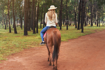 Woman in shirt and straw hat riding brown horse in park, blurred trees in background, view from behind