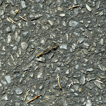Well-Hidden Stick Bug