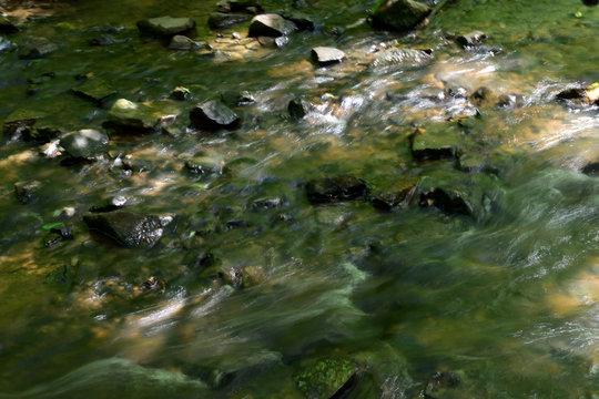 Rocky Stream