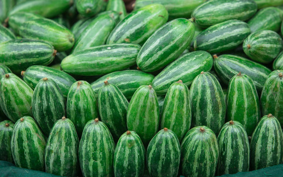 heap of potol parwal pointed gourd in vegetable market for sale