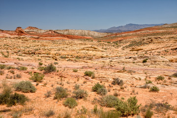 Valley of fire State Park Nevada USA