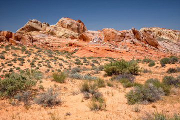 Valley of fire State Park Nevada USA