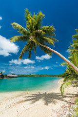 Tropical resort destination in Port Vila, Efate Island, Vanuatu, beach and palm trees