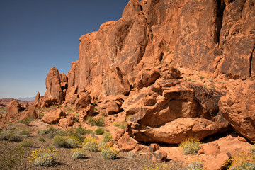 Valley of fire State Park Nevada USA