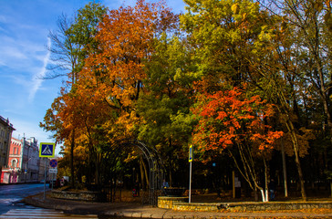Entrance to the golden autumn, Smolensk