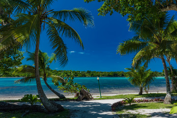 Fototapeta na wymiar Palm trees on a tropical beach, Vanuatu, Erakor Island, Efate