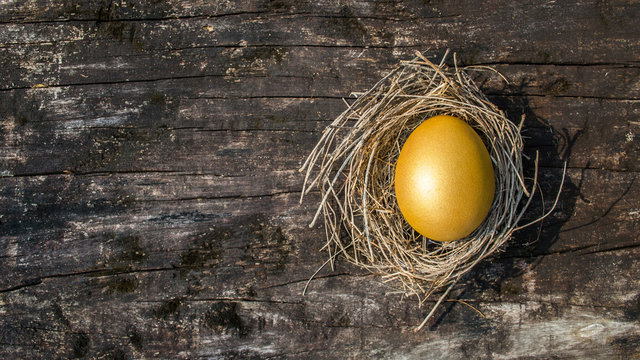 A golden egg opportunity concept of wealth and a chance to be rich