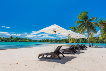 Palm trees on a tropical beach, Vanuatu, Erakor Island, Efate