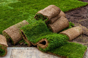 laying of grass in rolls