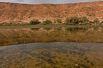 The Naquibs Pond is a small natural freshwater lake near Riyadh