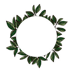 leaf frame isolated on white background