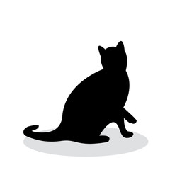 shadow of black cat isolated on white background