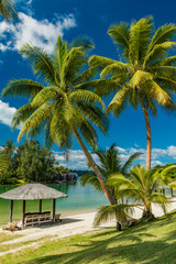 Fototapeta na wymiar Tropical resort destination in Port Vila, Efate Island, Vanuatu, beach and palm trees