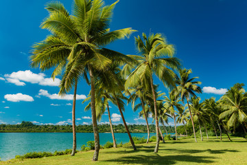 Obraz na płótnie Canvas Tropical resort destination in Port Vila, Efate Island, Vanuatu, beach and palm trees