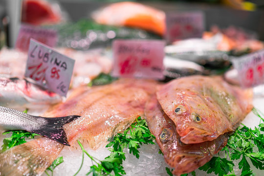 Raw sole fish at the fish market. Close-up, selective focus, bokeh.