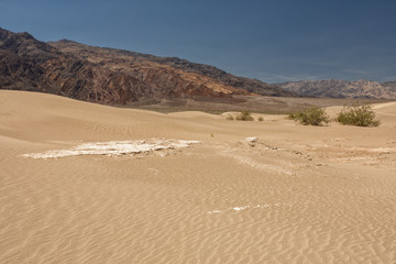 Fototapeta na wymiar Mesquite Flat Sand Dunes, Death Valley National Park, USA