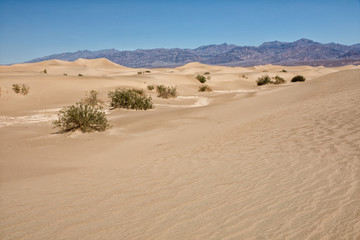 Mesquite Flat Sand Dunes, Death Valley National Park, USA