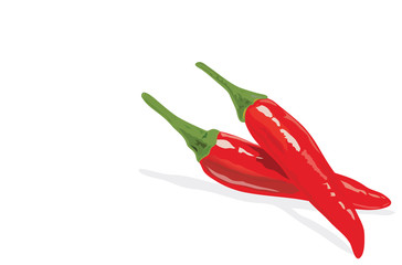 red chili pepper on white background -vector eps10