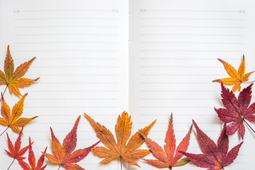Blank note book paper texture line pattern background for handwriting with colorful autumn leaves...