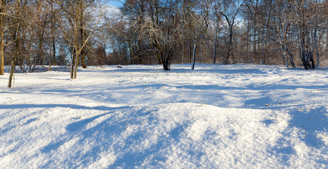 winter day after a snowfall