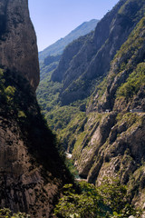 Fototapeta na wymiar The gorge in the mountains of Montenegro