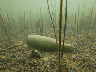 Flasche auf dem Grund, Umweltverschmutzung