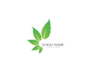Logos of green leaf ecology nature element vector icon