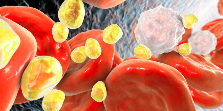 Cholesterol molecules in blood, 3D illustration. Cardiovascular disease development concept