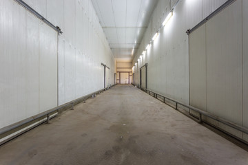 Obraz premium Empty hangar for fruits and vegetables in storage stock. production warehouse. Plant Industry