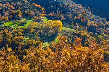 Ambroz valley, Cáceres, Extremadura, Spain, Europe