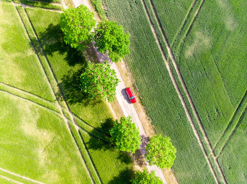 rotes Auto auf einer Stra&szlig;e Allee von oben, Vogelperspektive