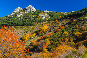 Ambroz valley, Cáceres, Extremadura, Spain, Europe