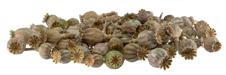 Ripe, dry poppy seed pods piled as background