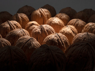 Fototapeta na wymiar textured walnut photo in the studio