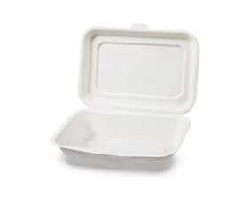 Bagasse box for food isolated on white background.