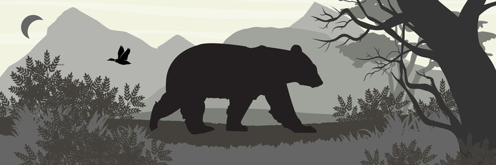 tree bear duck moon bush