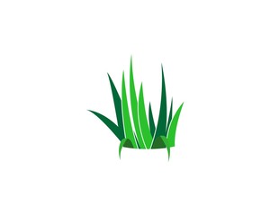 Grass logo vector template