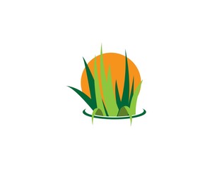 Grass logo vector template