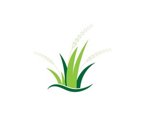 Grass logo vector template