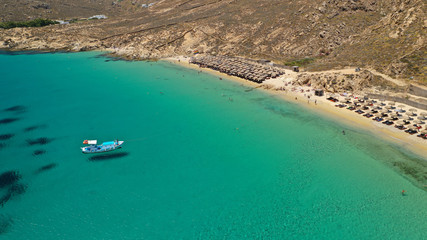Fototapeta na wymiar Aerial drone photo of famous organised beach of Elia with emerald clear sandy sea shore, Mykonos island, Cyclades, Greece 