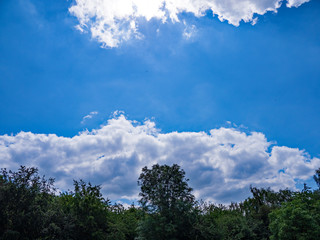 Obraz premium OLYMPUS DIGITAL CAMERA