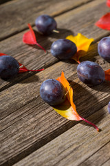 plums and color autumn leaves on old wood table